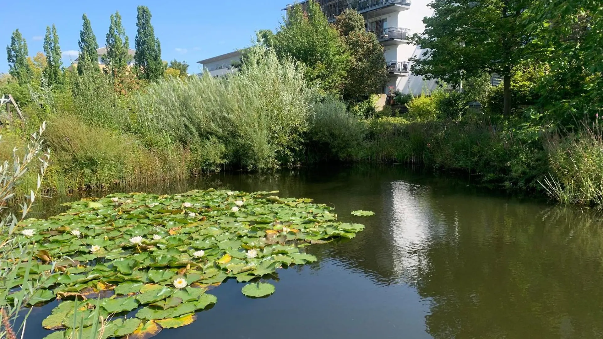 Lovely 3 Room Apartment For 4 P, Messe, U-Bahn, Park 하노버